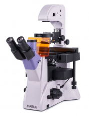 Изображение MAGUS Lum V500L Микроскоп люминесцентный инвертированный