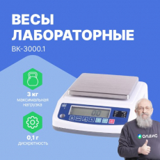 Изображение Весы лабораторные ВК-3000.1