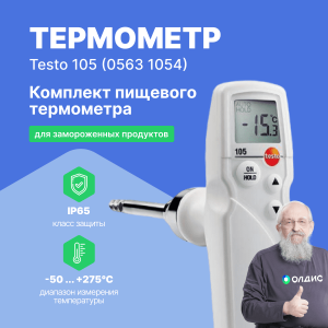 Термометр Testo 105 в комплекте с насадкой для замороженных продуктов