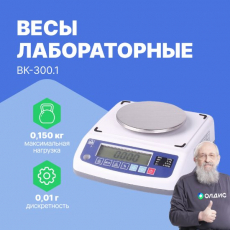 Изображение Весы лабораторные ВК-300.1