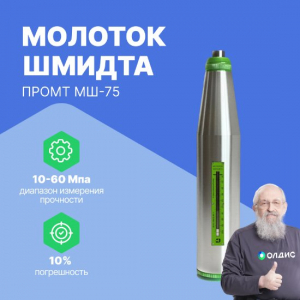 Молоток Шмидта (склерометр) ПРОМТ С-75