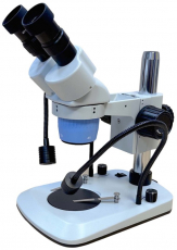 Изображение Микроскоп стереоскопический Levenhuk ST 24-100