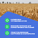 VERDO MM1102 Влагомер кондуктометрический с температурной компенсацией, материалы: зерно (6 шкал) - основной тип, пшеница, рис, кукуруза, соевые бобы, пшеничная мука_3