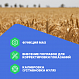 VERDO MM1101 Влагомер кондуктометрический с температурной компенсацией, материалы: древесные волокна, сено, солома, отруби_3